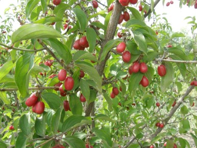 �����: �������� �� ������ ������ � ������� ���������