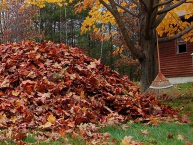 ������� ������: ����������� ������������ ������� ������