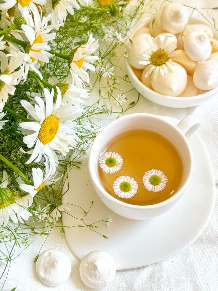 Эликсир здоровья: чаи, которые помогут при плохом самочувствии