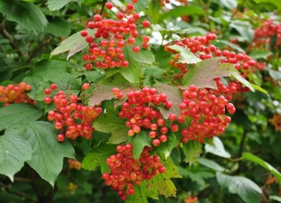 ��� ������� ������������� �������� ������ ����� �������� ��� ���