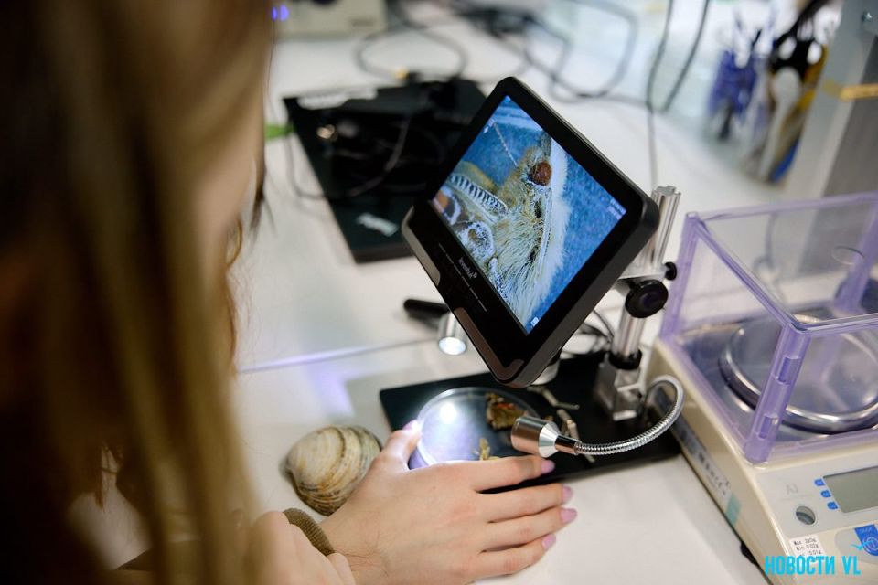 ДНК из банана и электричество из картошки: в «Кванториуме» проводят мастер-классы ко Дню науки ДНК из банана и электричество из картошки: в «Кванториуме» проводят мастер-классы ко Дню науки