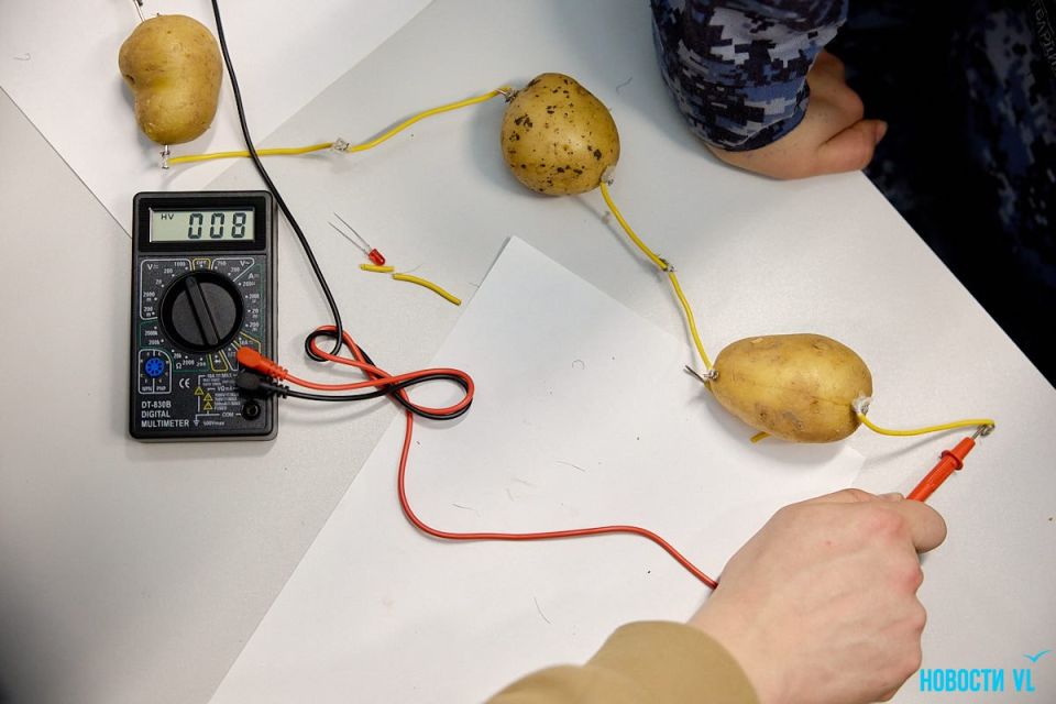 ДНК из банана и электричество из картошки: в «Кванториуме» проводят мастер-классы ко Дню науки ДНК из банана и электричество из картошки: в «Кванториуме» проводят мастер-классы ко Дню науки