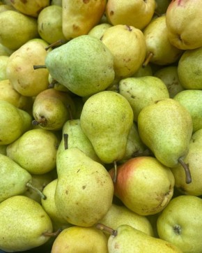 ������ ������ �����: ��� ��� �������� � ������ � ������������