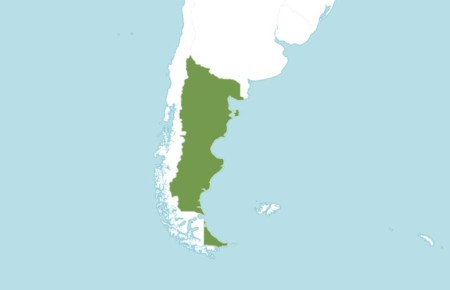 �������� ����� ������ � �����: ������� ��� ��� ��������