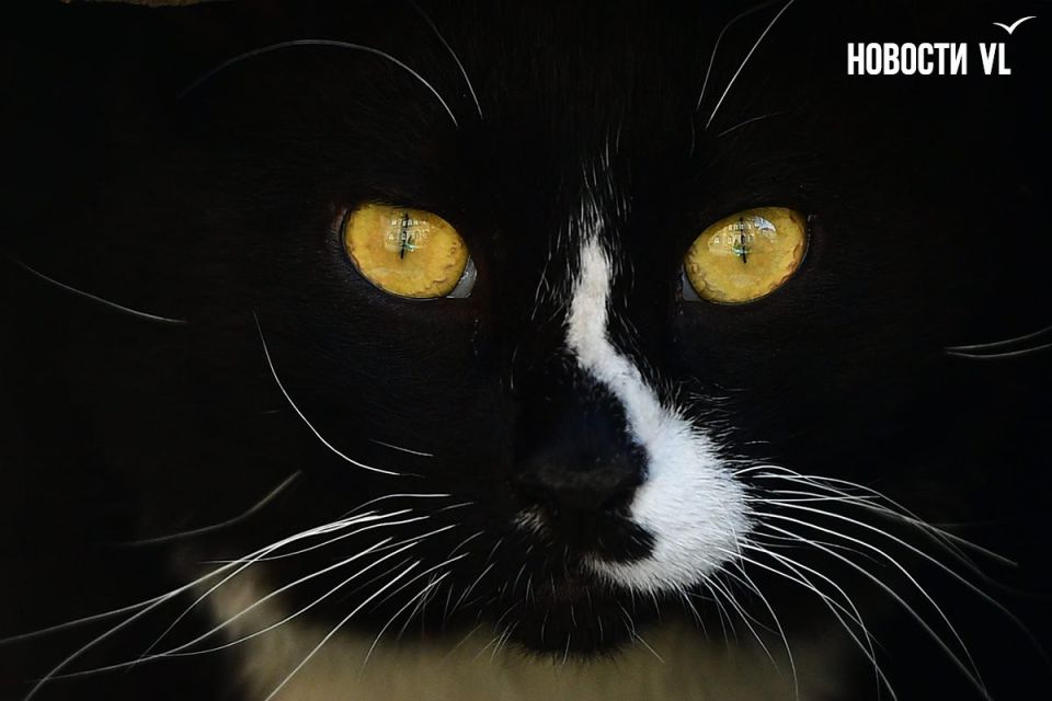 Доброе утро, Владивосток. Днём переменная облачность