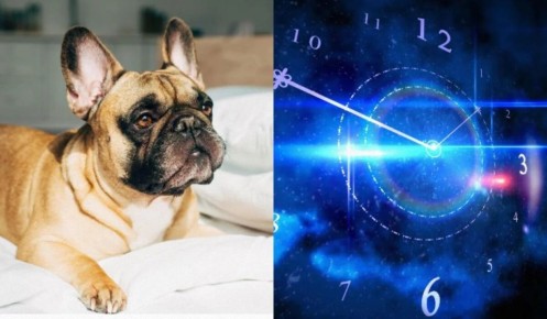 ����� ������� ������������� ������ ����� �������?