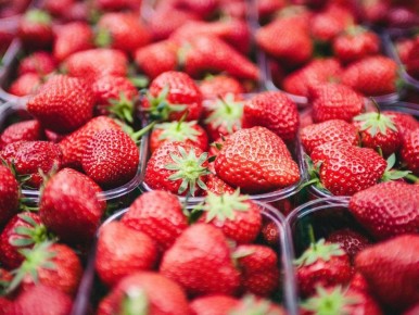 ��� ��������� ������ �������� � ������� ������������ ���������