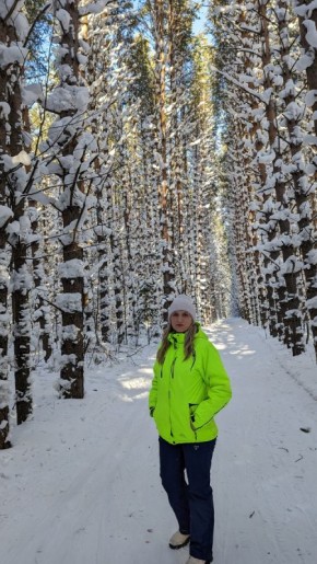 ������������ ������ ��� ���������� �������: �������� �� ������ ��� ��������