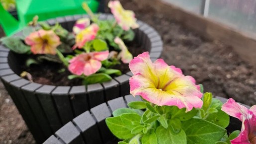 ������� �������� ������� �������: ��� �������� ���������������� ������ � ����������