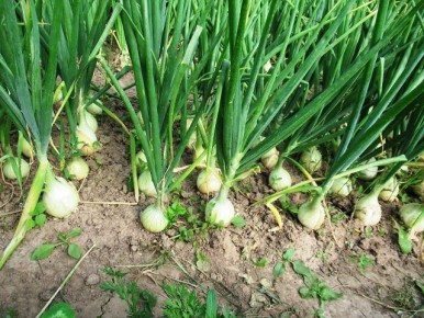 ����� ���������� ����� � ��������� ��� ����, ����� ��������� ������