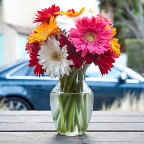 ���-8 ������� ������ ��� ����������� �������