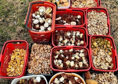 ������������ ���������� ����� �� ������� �������� �� �����