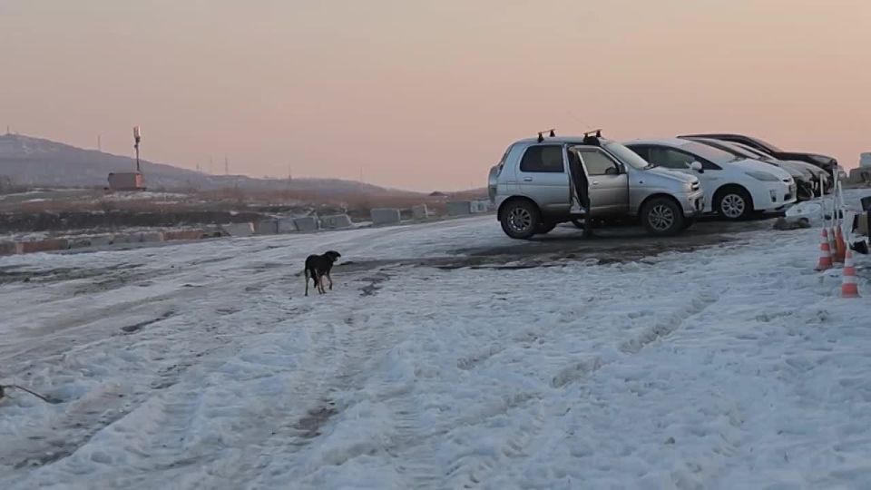 ������������� ������������ ���������� ��������� ����� ����������� ������