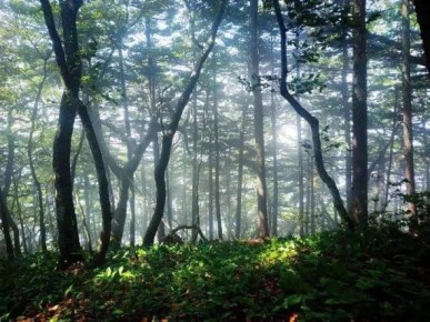 ���� �� �������� ����� ����� ������ �� �������� ���� �� ��������