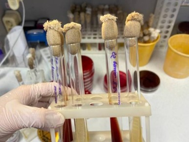 � ���������� ���� � 2026 ���� �������� �������� ������������ ������������, ���������� � ������ ��������������� ���������