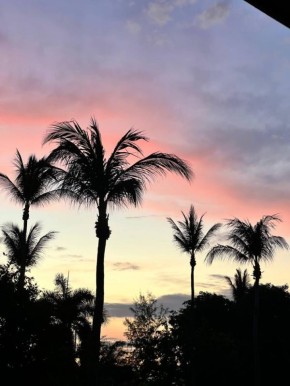 ������ ��������� ������ �������������� � ����������� ��������� � �������������