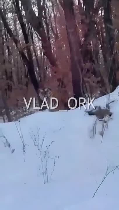 ������������ ��, �� ���, ����� ��� �������