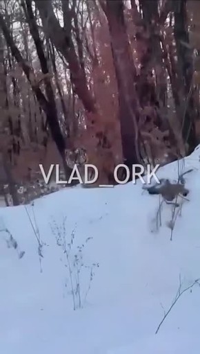 ������������ ��, �� ���, ����� ��� �������