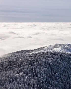 �� �������� � ���� ����� ������ ��������� ����