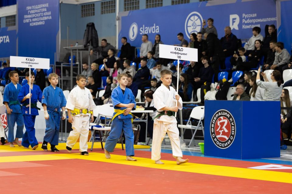 Во Владивостоке прошли яркие и зрелищные поединки сильнейших кудоистов Дальнего Востока