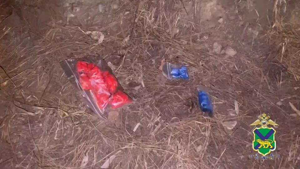 В Приморье за распространение героина в крупном размере перед судом предстанут граждане одной из стран Средней Азии