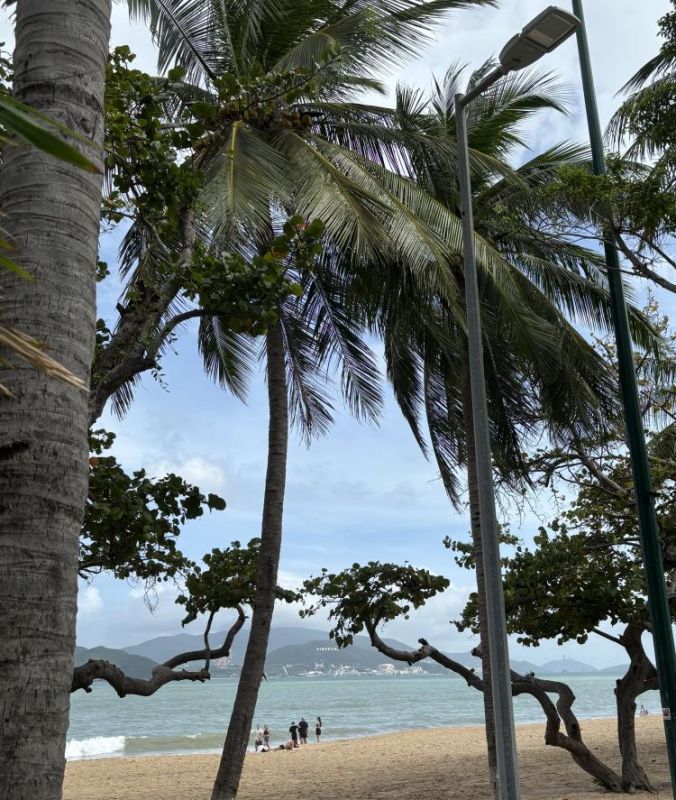 Российские туристы в 2026 году будут отдавать предпочтение проверенным и доступным направлениям, однако чартеры, новые прямые рейсы и послабления визовых режимов смещают интерес в сторону Вьетнама, Китая и еще ряда...