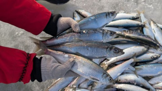 � 2025 ���� ������������� ������ ����� ����� ������������ ����������� ����� �� ������� �������