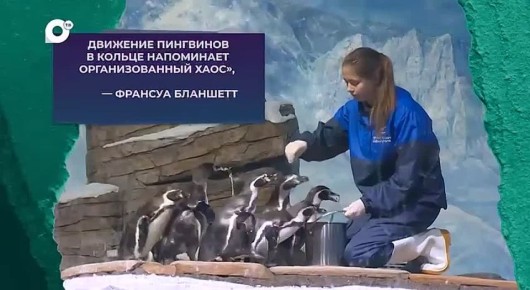 �������� ����������� � �� ������ ����� � �������