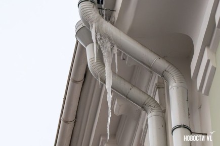 � ���������� ����������� �� ������������ ������ ����� ��������