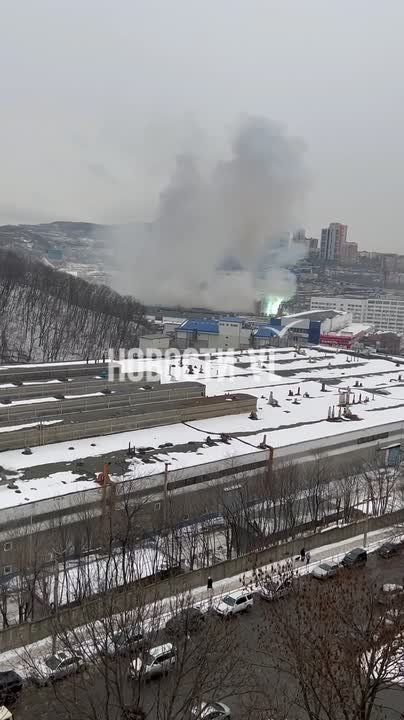 ��-�� ������ �� ������������� �� ������������ ��� ������������� �������� 48 ����� �������