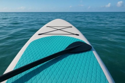 ������� �������� � ���������� ���� ������� ����� �� ����� ������� ������ � �������� ������������ ������������� �����������, ����� � ��������������� ���-17