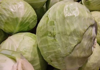 ������� ������ �������: ����� ���� ������� �������� �������� � ������� �������� �����