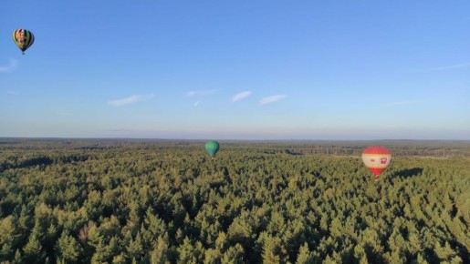 ��� ��������� ���� ���������� � �����, �� ����� ����� � 2026 ����?