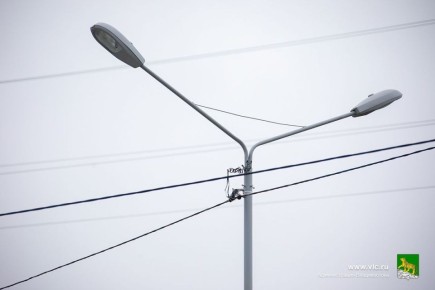 �� ������������ ��������� ������ ���� ��������� �� ������ ���������� � ����������