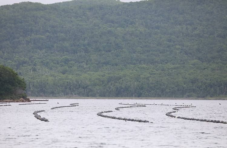 ����� ������� ����������� �� ������� ������� �������� ������������