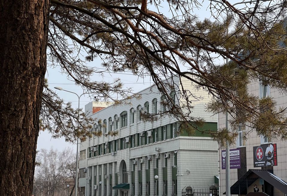 ������ ����, ���������!. ������� 12 ������� �������� ������������� ���� ����� � ���������