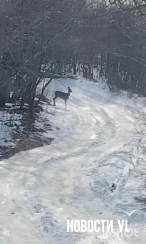 � �� ��������� �� ������� ������? ���� ��� �������� ���������� �������