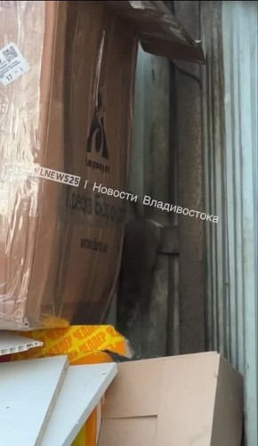 �� ������������ �� ������� ��������� ����� ���������� �������� �������� � ��������������