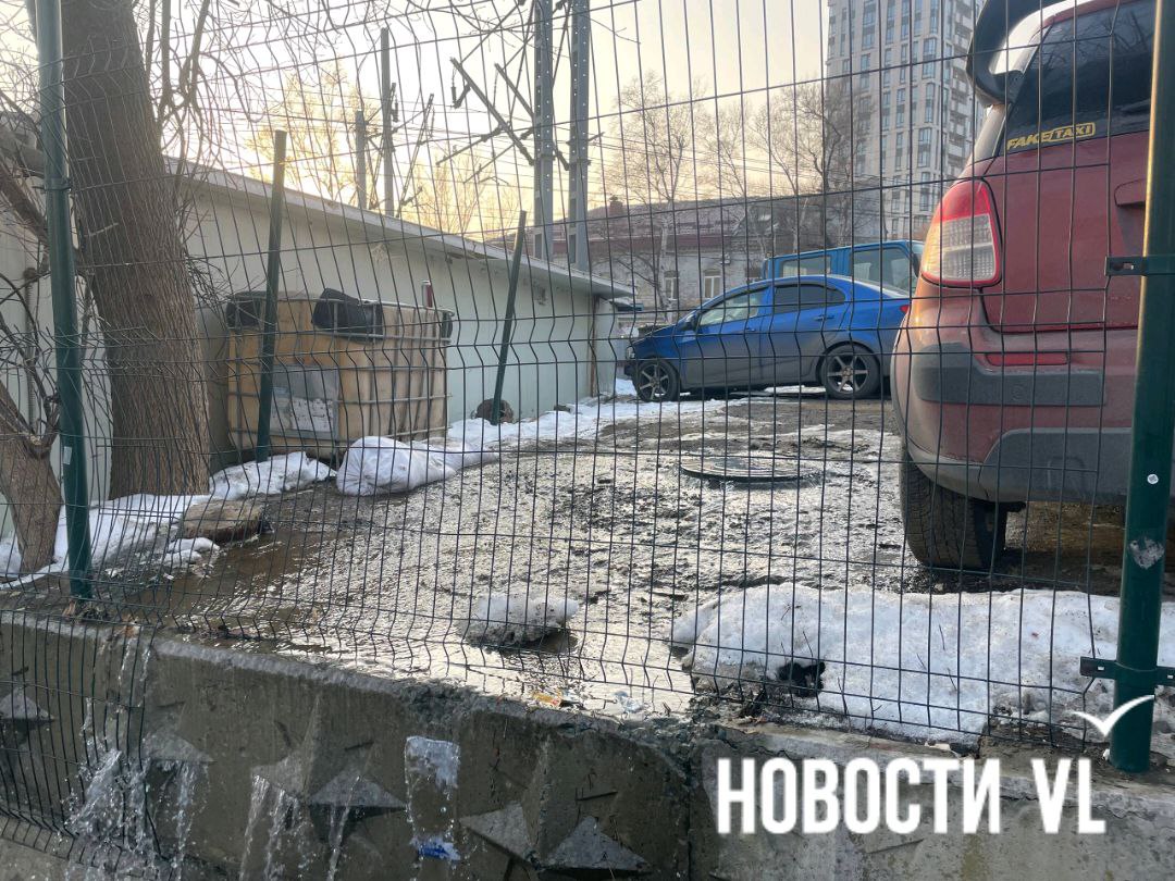 Целый водопад хлынул из люка на парковке, расположенной возле Пограничной, 5 Целый водопад хлынул из люка на парковке, расположенной возле Пограничной, 5