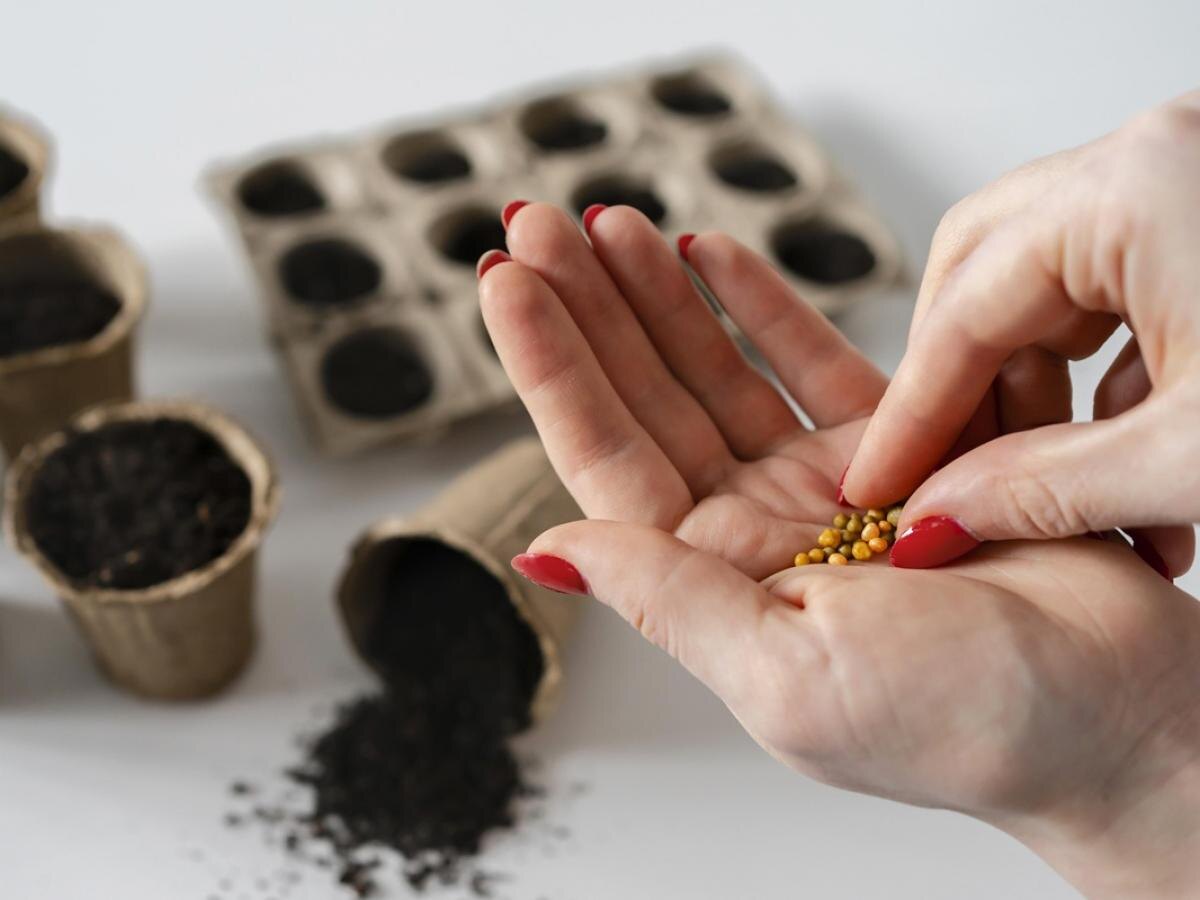 Оптимизация посевов: заблаговременное планирование семян