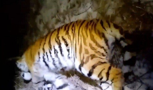 � ���� �� 14 ������� �������� �� ���� ����������� ����������� ������ ���������� ����������� �������� ��������� ����� ��������� �����