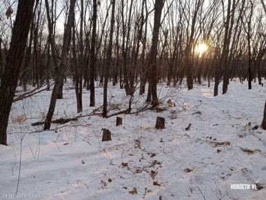 � ���������� �� ��� ���� ����������� �������� ����� 100 ��������