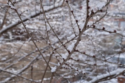 ������ �� ������ ������ � �������� � ������ ��������� ������