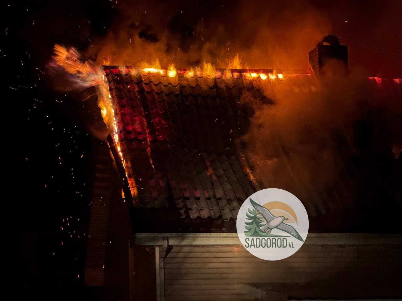 Страшный пожар охватил зоопарк во Владивостоке Страшный пожар охватил зоопарк во Владивостоке