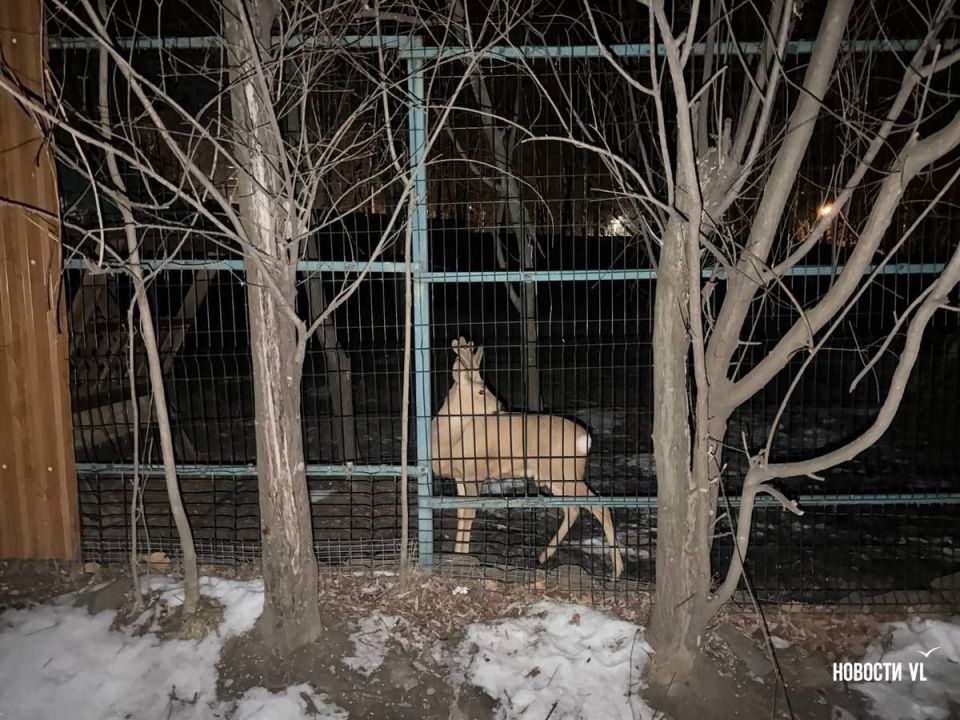 ��� ������������ ���������� ���, �� ����� ������� ������ �������� ���� ���� ��������