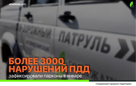 ������ ����������������� ���������� ���������� ����������� �� ������������