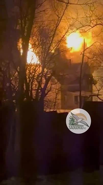 Страшный пожар охватил зоопарк во Владивостоке