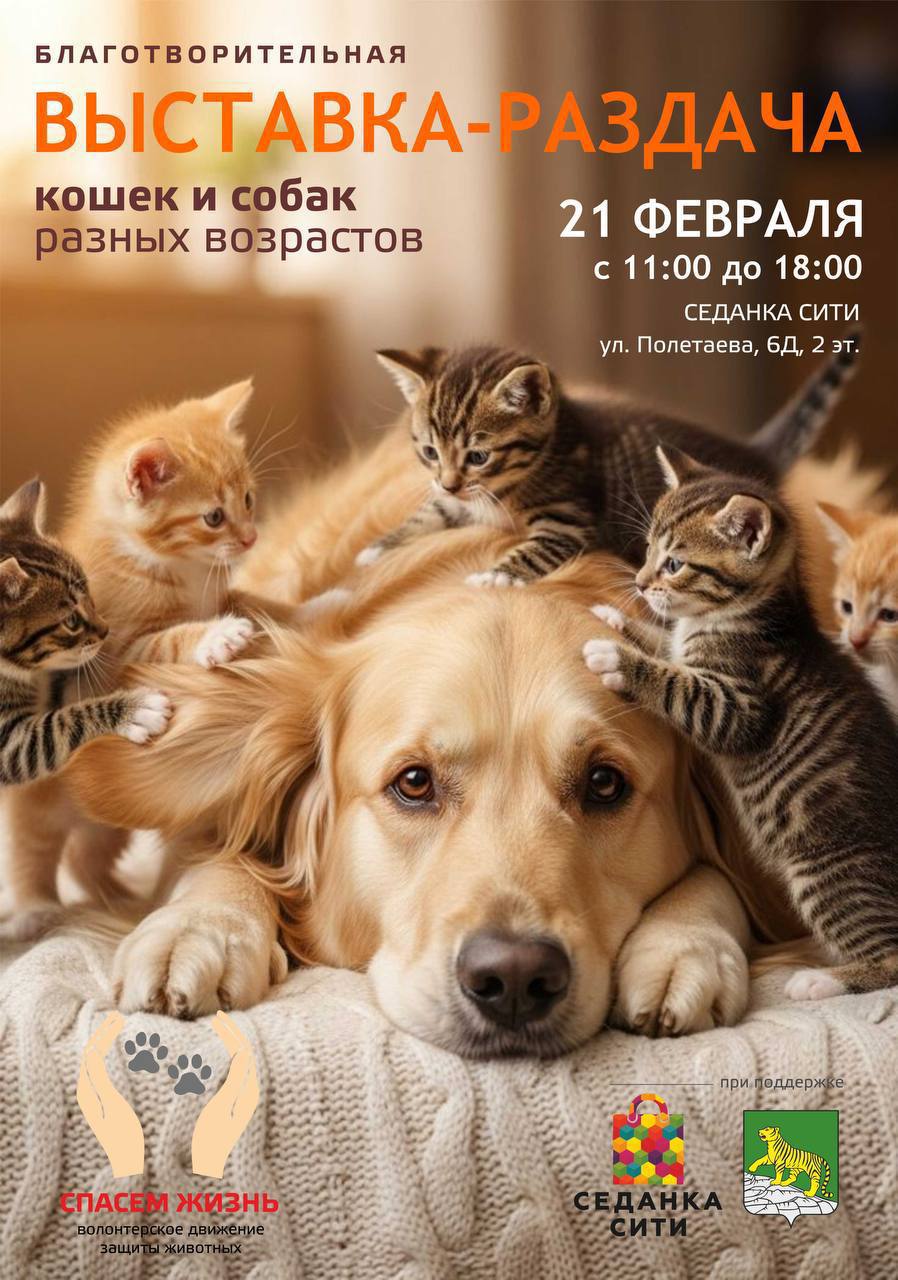 Во Владивостоке в эту субботу, 21 февраля, пройдёт благотворительная выставка-раздача кошек и собак - место, где случаются настоящие чудеса и начинаются новые дружбы!