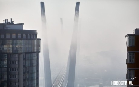 ������ ����, �����������. ���� ���������� ����������