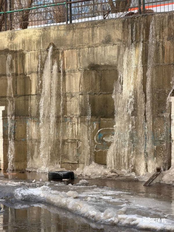 �� ���������� ������ ���� ������ ��������� ���� ������������ ��������� ����� � ����� ����� �����